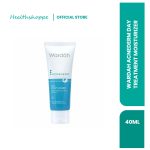 WARDAH ACNEDERM DAY MOISTURIZER 40ML
